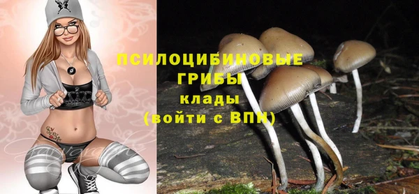 прущие крисы Абинск