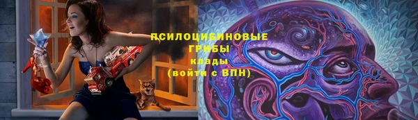 прущие крисы Абинск